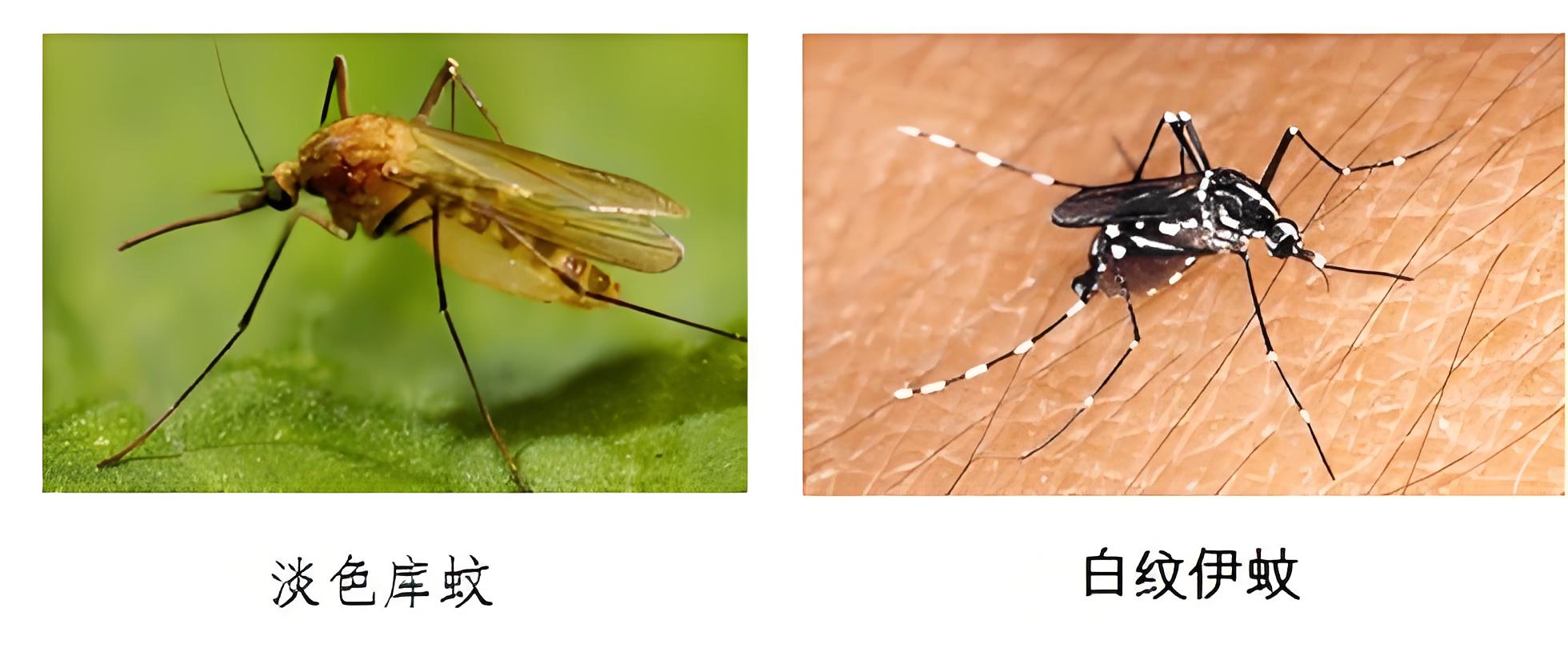 1c32f8ad-e695-4a46-aba3-0d3d557ea139.jpg